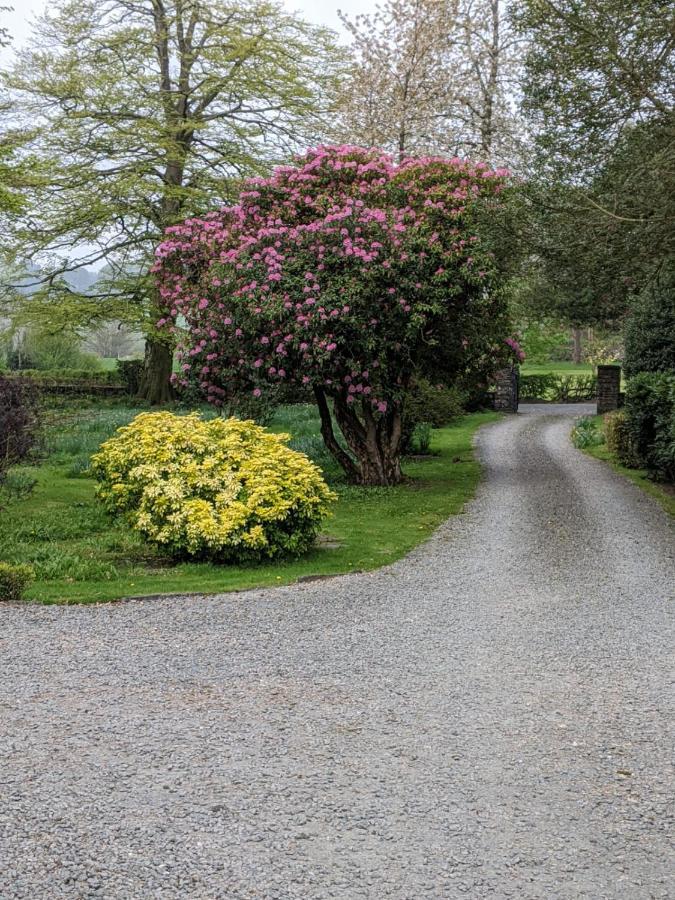 Belmount Hall Guest house *